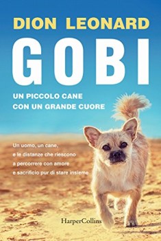 gobi un piccolo cane con un grande cuore