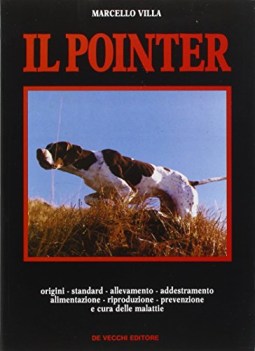 pointer