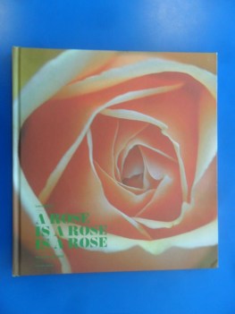 Rose is a rose is a rose. Rose Barni dal 1882. Grande formato foto a colori.