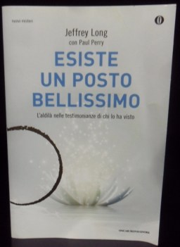 Esiste un posto bellissimo. L\' aldil nelle testimonianze di chi lo ha visto