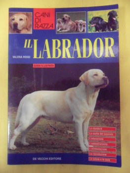 labrador guida illustrata