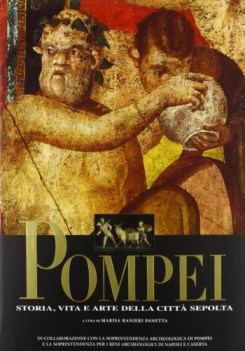 pompei storia vita e arte della citt sepolta