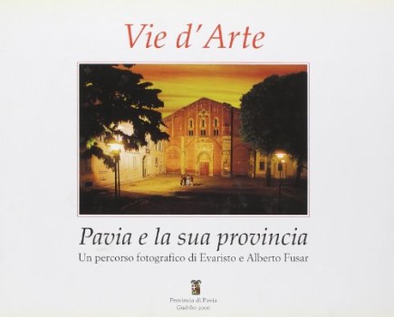 vie d\'arte pavia e la sua provincia