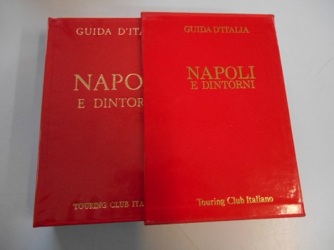 napoli e dintorni guide rosse touring (no edicola)