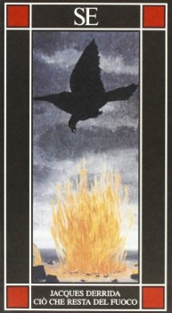 ci che resta del fuoco