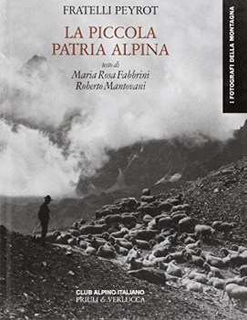 piccola patria alpina. testimonianze d\'identit