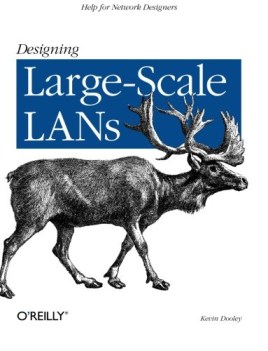 designing large scale lans