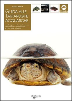 guida alle tartarughe acquatiche