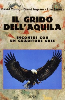 grido dell\'aquila (incontri con un guaritore cree)