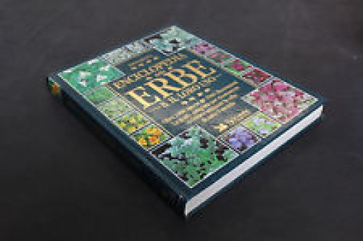 enciclopedia delle erbe &amp; il loro uso