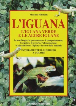 iguana. l\'iguana verde e le altre iguane