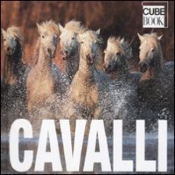 cavalli