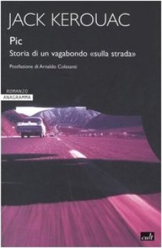 pic storia di un vagabondo sulla strada