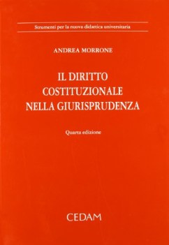 diritto costituzionale nella giurisprudenza
