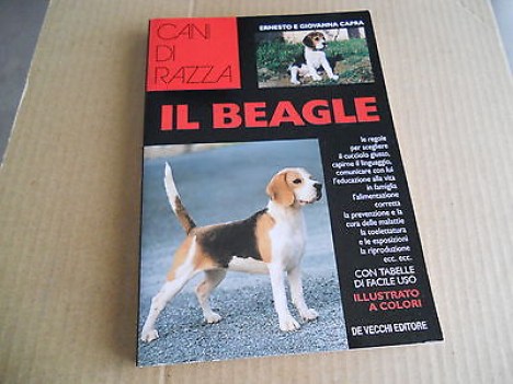 beagle cani di razza - de vecchi