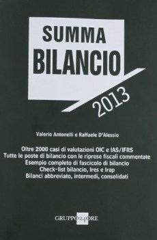 summa bilancio 2013