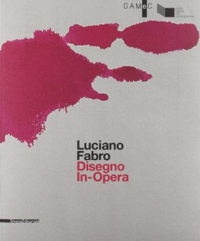 luciano fabro disegno in-opera