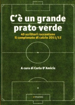 c\' un grande prato verde