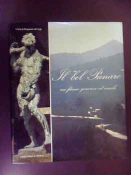 bel panaro un fiume generoso e umile