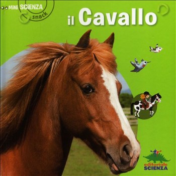 cavallo