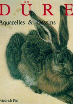 durer aquarelles & dessins
